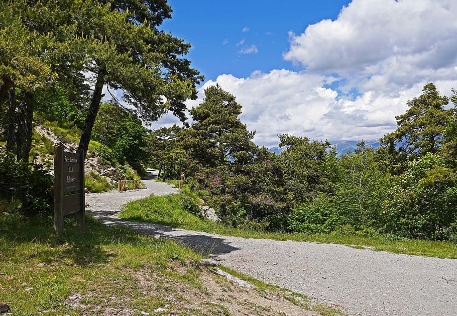 Weg, hoch, Berge, Wald, Pfad, Kiefer, hohe Berge, Waldweg, staatlicher Wald, Seealpen, Südfrankreich, Landschaft, Tal, Hohe Position, felsig, Fest, alpes maritimes, Baum, wolke - himmel, Himmel, grüne Farbe, keine Leute, Gras, Pflanze, Wachstum, Natur, Schönheit in der Natur, Ruhe, Tag, Straße, ruhige Szene, Transport, Szenen - Natur, Nicht-städtische Szene, Sonnenlicht, Richtung, der Weg nach vorn, draußen, 2K