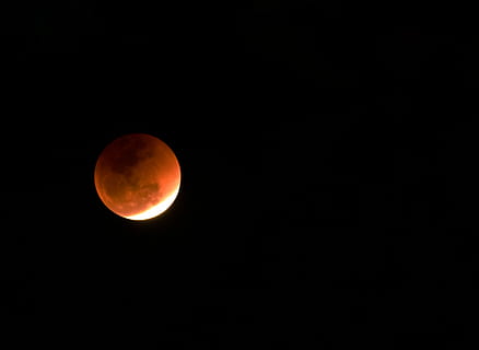 foto, asins mēness, nakts laiks, zems, leņķis, Mēness, aptumsums, apelsīns, gaisma, telpa, naktī, astronomija, debesis, dabas parādība, kopēt vietu, aplis, pilnmēness, ģeometriskā forma, skaistums dabā, raksturs, oranža krāsa, formas, skatuves - daba, nav cilvēku, miers, ārā, mierīga aina, melns fons, planētu mēness, mēness gaisma, 2K, CC0, publiskais domēns, bez atlīdzības