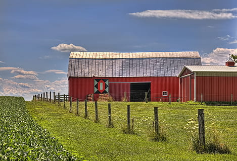 Scheune, rustikal, Scheunen, Ohio, digitale Kunst, ländlich, szenisch, Land, Landschaft, Schuppen, wirft, Bauernhof, Bauernhöfe, Landwirtschaft, landwirtschaftlich, Bauernhaus, champaign, Bezirk, Americana, Foto, fotografieren, Struktur, Strukturen, sturgell, William Sturgell, bill sturgell, historisch, Wohnkultur, Gebäude, Wolken, Himmel, Baum, Bäume, wolkig, Unkraut, Champaign County, Urbana, die Architektur, gebaute Struktur, Gebäudehülle, Gras, wolke - himmel, Tag, Pflanze, Natur, Feld, keine Leute, Zaun, Grenze, grüne Farbe, Barriere, draußen, Haus, 5K