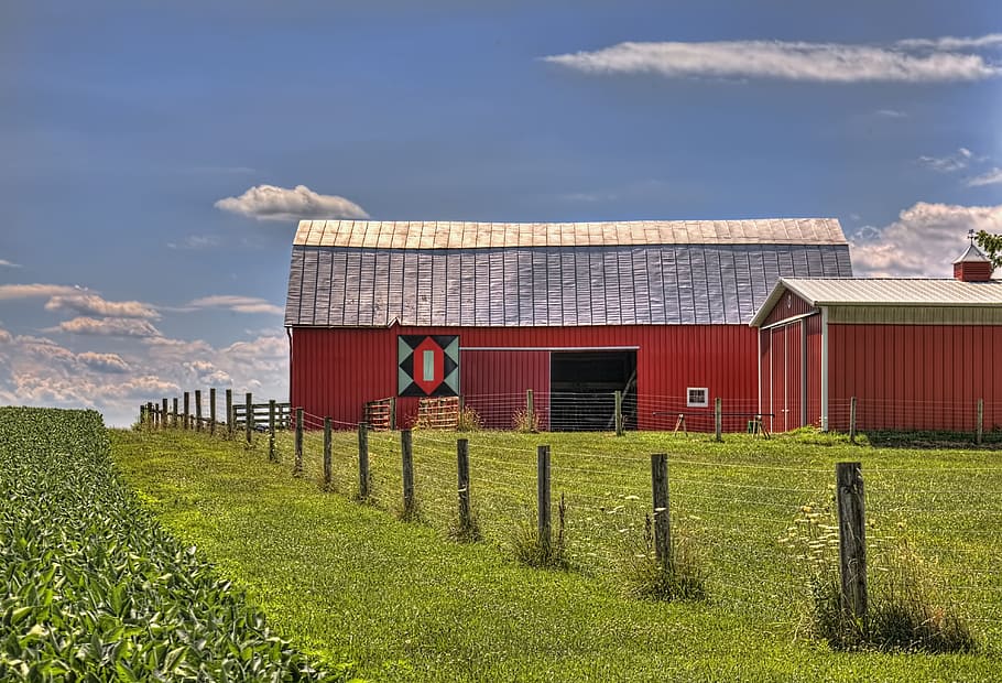 graner, rústic, graners, ohio, art digital, rural, escènic, país, camp, paisatge, cobert, coberts, granja, granges, agricultura, agrícola, Masia, campanar, comtat, americana, foto, fotografia, estructura, estructures, sturgell, William Sturgell, factura sturgell, històric, decoració de la llar, edificis, núvols, cel, arbre, arbres, ennuvolat, cels, males herbes, comtat del campanar, urbana, arquitectura, estructura construïda, exterior de l'edifici, herba, núvol - cel, dia, planta, naturalesa, terra, edifici, cap gent, tanca, límit, color verd, barrera, a l'aire lliure, casa, 5K