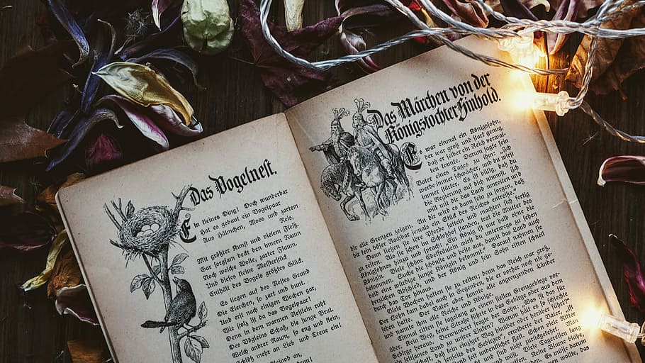 llibre, obert, envoltat, llums, fulles, cos del llibre, llums de corda, vell, tipus, llum de fades, text, comunicació, guió occidental, paper, publicació, vista d’angle alt, cap gent, script no occidental, guió, primer pla, espiritualitat, creença, religió, planta, flor, vela, a l'interior, natura morta, missatge, 4K