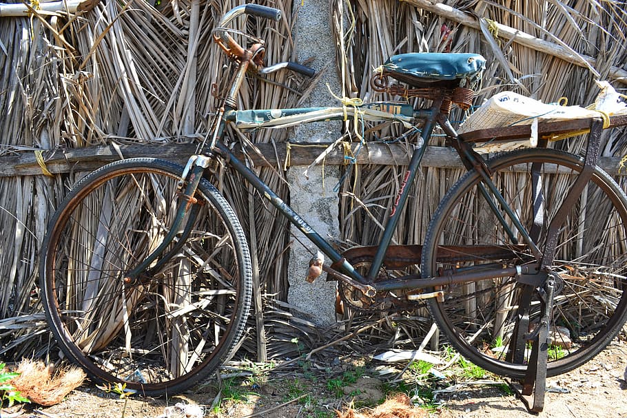 Índia, cicle, òxid, bicicleta, transport, manera de transport, vehicle terrestre, dia, estacionari, roda, naturalesa, cap gent, a l'aire lliure, abandonat, rovellat, obsoleta, terra, ciutat, viatjar, arquitectura, vell, espatllat, 4K