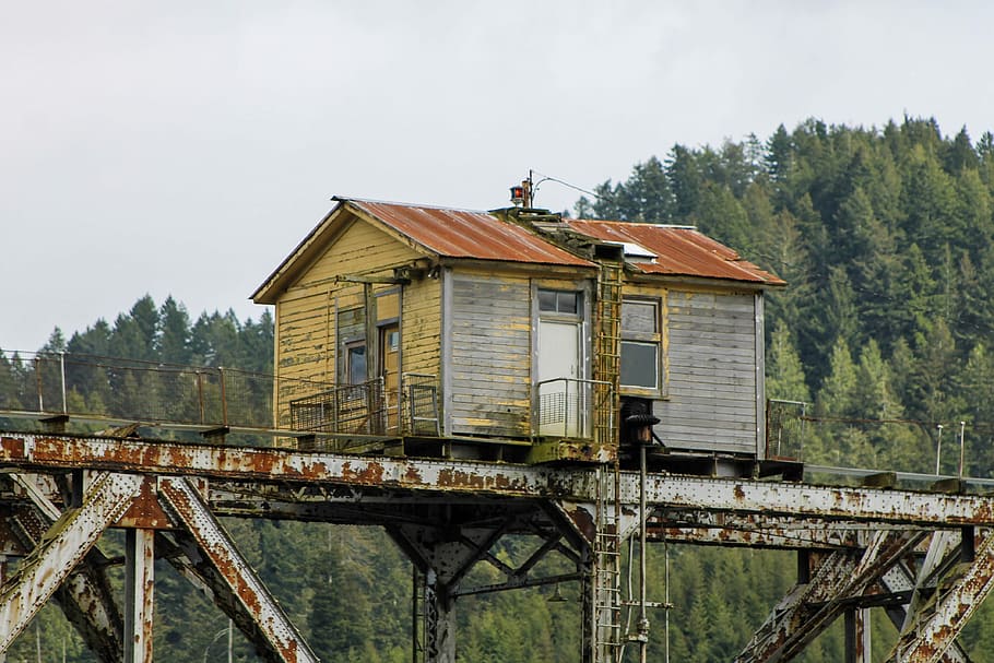 casa fluvial abandonada, gris, beix, fusta, casa, pont, edifici, barrica, bosc, alt, arquitectura, estructura construïda, exterior de l'edifici, cap gent, naturalesa, material de fusta, arbre, terra, a l'aire lliure, planta, paisatge, escena rural, dia, aigua, cel, escena no urbana, molí d’aigua, connexió, 4K