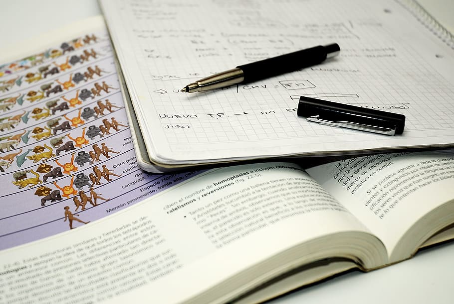 negre, bolígraf, al costat, quadern, estudiant, biologia, notes, pensar, estudiar, professors, universitat, exactes, examen, paper, publicació, obert, instrument d’escriptura, a l'interior, ploma estilogràfica, primer pla, llibre, cap gent, natura morta, educació, negocis, vista d’angle alt, taula, document, tir de l'estudi, llapis, dos objectes, contemplació, 2K