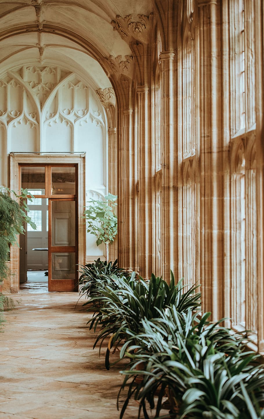 forde abbey, verd, fulles, planta, costat, finestra, arc, porta, arquitectura, estructura construïda, a l'interior, cap gent, edifici, entrada, columna arquitectònica, dia, el passat, història, interior de casa, material de fusta, ornamentat, seient, disseny, sostre, luxe, 4K