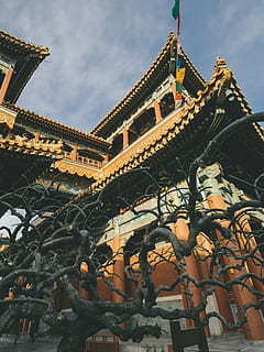Foto, forbudt, by, Kina, brunt tempel, bygget struktur, arkitektur, bygning udvendig, lav vinkel visning, himmel, bygning, sky - himmel, rejsemål, sted for tilbedelse, religion, spiritualitet, natur, tro, ingen mennesker, dag, historie, turisme, fortiden, rejse, udendørs, udsmykkede, 4K, CC0, offentligt domæne, royaltyfrie