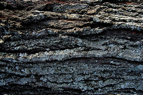 textură, fundal, model, natural, suprafaţă, lemn, plantă, Următor →, mușchi, Matrite, fundaluri, cadru complet, texturată, nici o persoana, stare brută, zi, a închide, natură, solid, în aer liber, stâncă, obiect de rocă, geologie, perete de piatra, teren, vedere în unghi mare, obiect de piatră, perete, abstract, 1080P, CC0, domeniu public, fără drepturi de autor