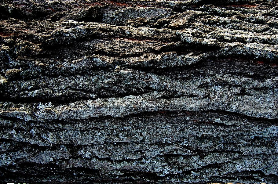 textura, fons, patró, natural, superfície, fusta, planta, Pròxim, molsa, motlle, marc complet, cap gent, aspre, dia, primer pla, naturalesa, sòlid, a l'aire lliure, rock, rock - object, geologia, paret de pedra, terra, vista d’angle alt, pedra - objecte, paret, resum, 1080P