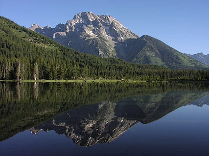 reflektieren, Bäume, Berg, Zeichenfolge See, Reflexion, Mount Moran, Landschaft, szenisch, Wasser, Natur, draußen, Grand Teton Nationalpark, Wyoming, Vereinigte Staaten von Amerika, ruhig, entspannend, See, Gebirge, szenen, Himmel, keine Leute, Reiseziele, Schönheit in der Natur, Szenen - Natur, Baum, Ruhe, ruhige Szene, Pflanze, Symmetrie, Ufergegend, klarer Himmel, idyllisch, Kiefer, Nadelbaum, Reflexionssee, Gipfel, Kiefernwald, 1080P, CC0, gemeinfrei, lizenzfrei
