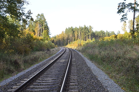 les, stopy, krajina, strom, rostlina, směr, cesta vpřed, železniční trať, dráha, přeprava, železniční dopravy, Příroda, nikdo, perspektiva, růst, nebe, krása v přírodě, přistát, mimoměstské scény, čisté nebe, den, bod zmizení, klidné scény, venku, paralelní, dlouho, 4K, CC0, veřejná doména, bez autorských práv