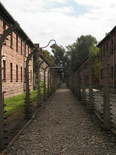 auschwitz, filo spinato, separazione, architettura, esterno dell'edificio, struttura costruita, la strada davanti, cielo, costruzione, direzione, nuvola - cielo, pianta, quartiere residenziale, natura, strada, albero, nessuno, sentiero, giorno, città, Casa, prospettiva decrescente, all'aperto, lungo, 4K, CC0, dominio pubblico, privo di copyright