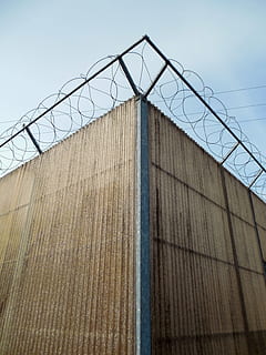 barbed wire, sure, security, wire, limit, fence, demarcation, imprisoned, barrier, barbed wire fence, steel, sky, low angle view, built structure, architecture, nature, protection, building exterior, safety, day, boundary, no people, metal, building, outdoors, wall - building feature, corrugated, 2K, CC0, public domain, royalty free