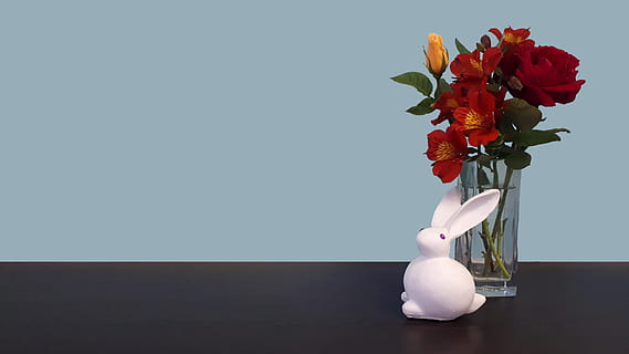 bunny, rabbit, flowers, easter, blue, wall, table, ornament, cute, spring, animal, white, celebration, decoration, colorful, roses, bouquet, background, fun, red, yellow, joy, holiday, vase, flowering plant, flower, plant, beauty in nature, nature, indoors, fragility, vulnerability, rose, freshness, rose - flower, flower head, still life, copy space, no people, inflorescence, flower arrangement, bunch of flowers, softness, pitcher - jug, 4K, CC0, public domain, royalty free