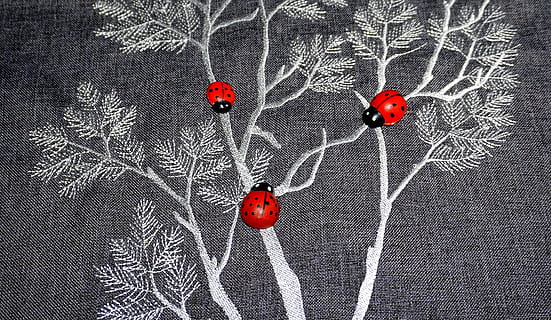 insetti, coccinella, rosso, piccolo, animali, scarafaggio, artificiale, decorazione, bug, tessile, grigio, sfondo, tappeto, struttura, nessuno, arte e artigianato, creatività, avvicinamento, in casa, disegno - prodotto artistico, a forma di cuore, rappresentazione, vista dall'alto, direttamente sopra, amore, natura morta, pianta, giorno, colore isolato, natura, frutta, 4K, CC0, dominio pubblico, privo di copyright