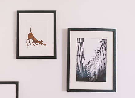 Două, negru, încadrată, picturi, perete, rame de tablouri, perete arta, interior, alb, portret, imagine, decor, fotografie, cadru, afişa, ramă foto, nici o persoana, în interior, a închide, zi, animale tematice, reprezentare, montare pe perete, artă și sculptură, natură, reprezentarea animalelor, acasă interior, animal, copac, creativitate, a picta, plantă, sticlă - material, spațiu copie, 5K