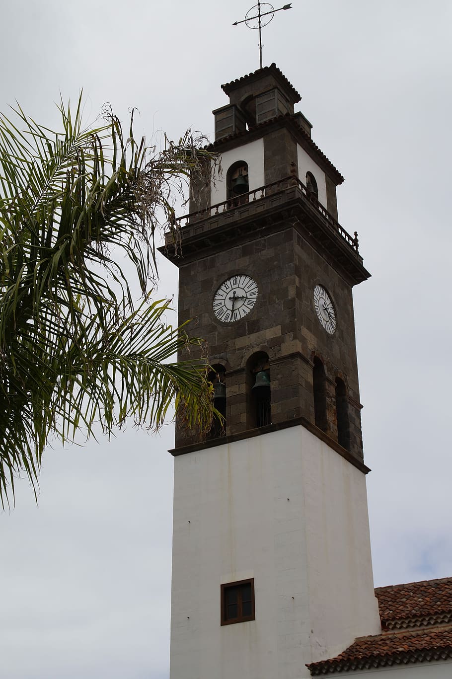 middelhavet, tårn, klokke tårn, tenerife, historisk, arkitektur, kirke, himmel, Kristendom, tro, hus for tilbedelse, Middelhavet flair, katolsk, bygning, religion, gammel by, Kanariske øer, Spir, bygning udvendig, bygget struktur, lav vinkel visning, ur, træ, natur, ingen mennesker, plante, tid, dag, Palme træ, klokketårn - tårn, tropisk klima, sky - himmel, høj - høj, udendørs, uret ansigt, 5K