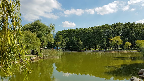 llac, paisatge, arbre, núvols, gall dindi, verd, llum, reflexió, parc, bonic, planta, aigua, cel, tranquil·litat, naturalesa, color verd, núvol - cel, escenics - natura, bellesa a la natura, escena tranquil·la, dia, creixement, cap gent, escena no urbana, medi ambient, a l'aire lliure, llac de reflexió, 4K, CC0, domini públic, lliure de regalies