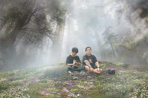 visual, kakak beradik, manipulasi, hutan, kabut, berkabut, keren, sedang, menanam, alam, duduk, pohon, bunga, kegiatan waktu luang, tanah, keindahan di alam, tanaman berbunga, orang-orang, anak muda, gaya hidup, laki-laki, dewasa, penuh, liburan, di luar rumah, perjalanan, lingkungan Hidup, 2K, CC0, domain publik, bebas royalti