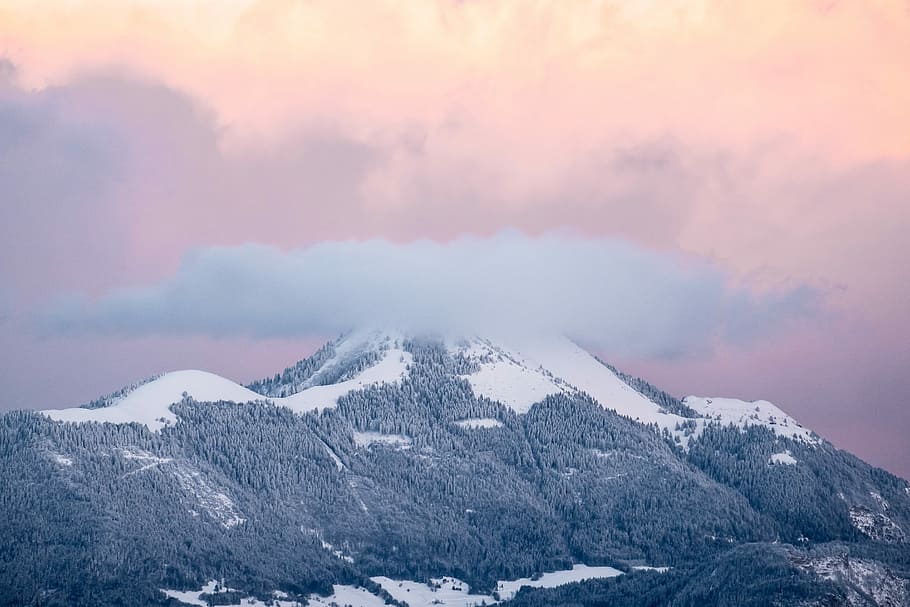 landskabsfotografering, bjerg, fugl, øjenfotografering, skyer, dækker, spids, Sky, vinter, topmøde, Snowcap, pastel, Skov, sne, lyserød, klippe, træ, udendørs, alp, himmel, vandring, kold temperatur, sky - himmel, miljø, scenics - natur, skønhed i naturen, snedækket bjerg, landskab, ingen mennesker, natur, tåge, bjergkæde, ro, rolig scene, rejsemål, bjergtop, fyrretræ, fyrreskov, 5K