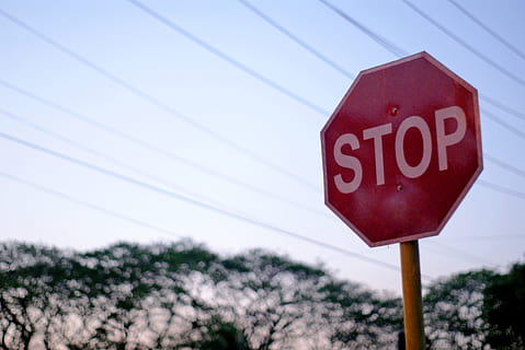Stoppschild, Linien, Bäume, Schild, halt, Zeichen, Kommunikation, rot, Warnschild, Text, Himmel, westliche Schrift, Straßenschild, Flachwinkelansicht, Stopp - einzelnes Wort, Großbuchstabe, Pflanze, Natur, Straße, keine Leute, Tag, Information, Nahansicht, Fokus auf den Vordergrund, draußen, Botschaft, 2K, CC0, gemeinfrei, lizenzfrei