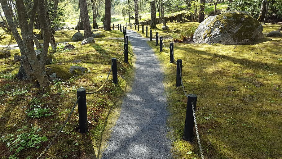 parc, bosc, ruta, Camí, parc, sender forestal, camí forestal, cap gent, naturalesa, ombra, dia, llum solar, a l'aire lliure, planta, arbre, el camí a seguir, direcció, terra, tranquil·litat, escena tranquil·la, herba, tronc de l'arbre, tronc, perspectiva decreixent, bellesa a la natura, creixement, sendera, llarg, 5K