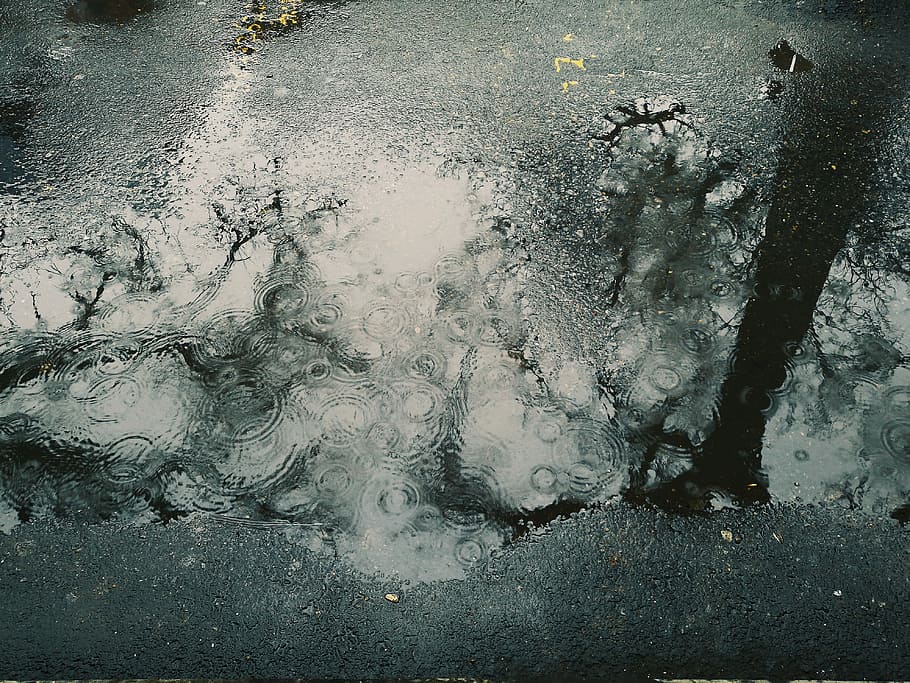 gota d'aigua, sòl, fotografia en escala de grisos, aigua, bassal, paviment, pluja, caiguda de pluja, ondulació, reflexió, textura, primer pla, fosc, humit, cap gent, naturalesa, dia, vista d’angle alt, a l'aire lliure, carretera, carrer, ciutat, terra, transport, mar, temperatura de fred, 4K