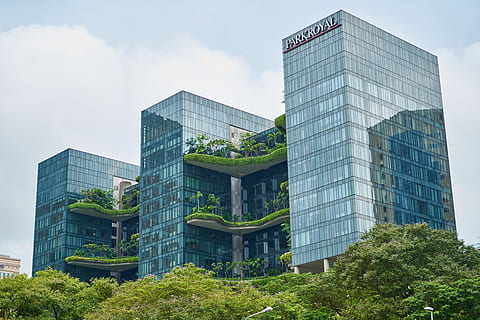 grattacielo, alberi, costruzione, architettura, finestra, struttura, città, edifici, viaggio, centro città, composizione, cielo, bellissimo, sfondo, Singapore, moderno, finanza, esterno dell'edificio, struttura costruita, pianta, albero, edificio per uffici esterno, giorno, nessuno, ufficio, natura, vetro - materiale, all'aperto, nuvola - cielo, Inquadratura dal basso, destinazioni di viaggio, distretto finanziario, 5K, CC0, dominio pubblico, privo di copyright