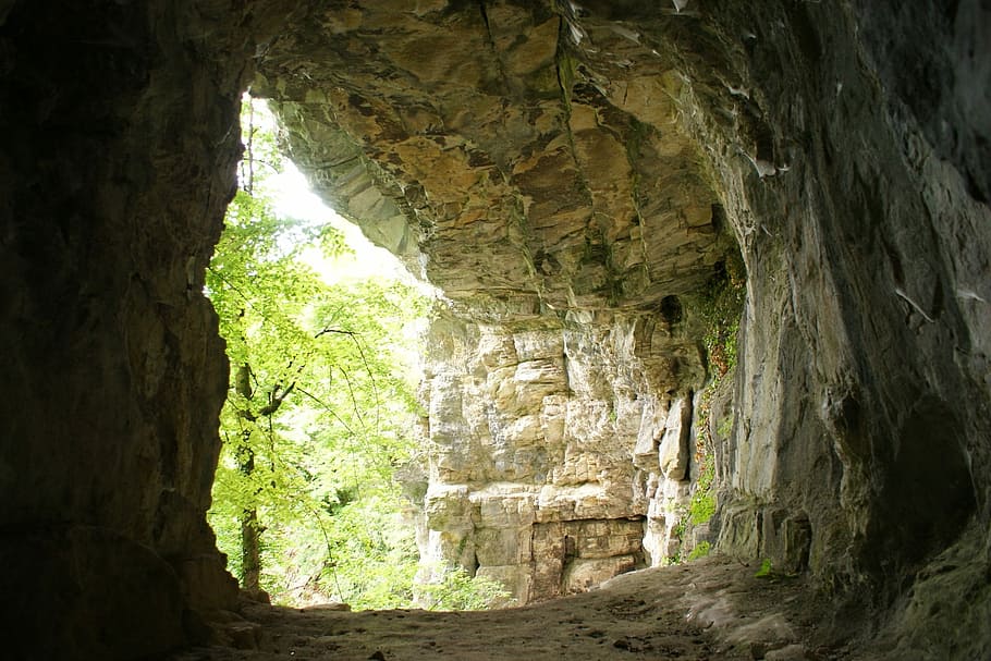 jeskyně, strom, Příroda, poboček, uvnitř, stalaktit, starověké, den, architektura, pevný, nikdo, Skalní formace, Skála, rock - objekt, rostlina, geologie, venku, Dějiny, stavba, krása v přírodě, fyzická geografie, klid, texturou, zničil, 1080P