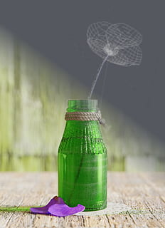 cgi, Blume, Flasche, Stillleben, 3d, immer noch, Leben, Natur, Design, Pflanze, Grün, Computer, Farbe, machen, bunt, Digital, cg, stilisiert, Holz, erzeugt, Präsentation, symbolisch, grüne Farbe, keine Leute, Schatten, Nahansicht, Frische, Container, Fokus auf den Vordergrund, Tabelle, Tag, drinnen, Glas - Material, Holz - Material, Krug, Essen und Trinken, Getränk, Glas, 2K, CC0, gemeinfrei, lizenzfrei
