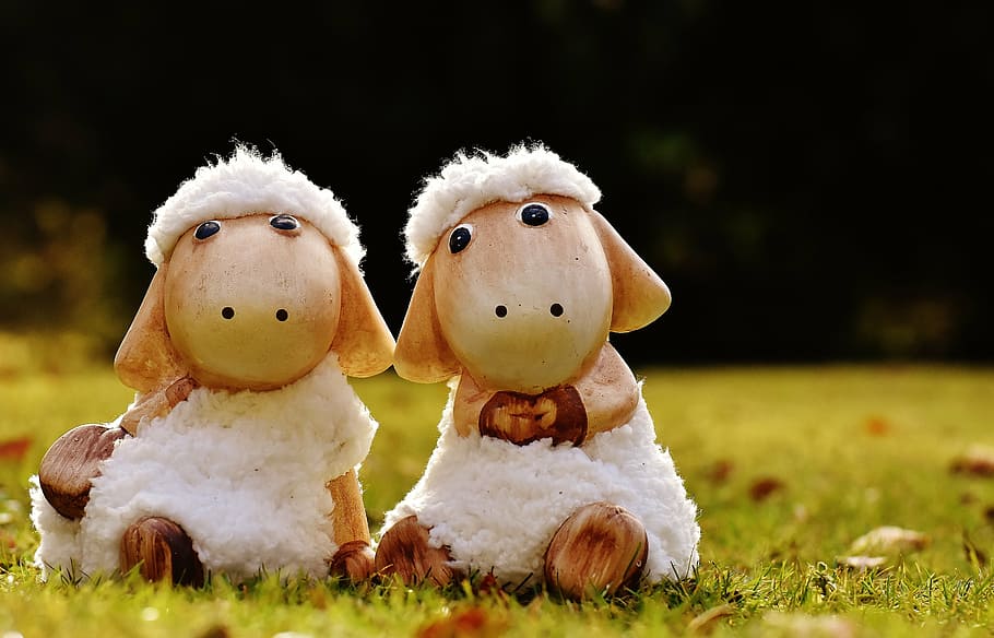 ovelles, deco, ceràmica, bonic, figura, joguina suau, llana, cara, ungulate, joguines, animal, divertit, decoració de pasqua, herba, cap gent, celebració, dia, Pasqua, unió, a l'aire lliure, primer pla, representació, joguina, representació humana, creativitat, festa, joguina de peluix, planta, art i artesania, naturalesa, mamífer, centrar-se en primer pla, Color blanc, decoració, 5K