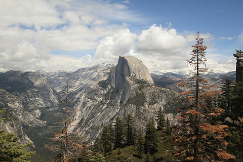pájaro, fotografía de vista, montaña, vista de alto ángulo, gris, árbol, Valle, pino, nube, paisaje, cielo, temporada, otoño, parque, Estados Unidos, yosemite, californio, naturaleza, oro, nube - cielo, paisajes - naturaleza, ambiente, belleza en la naturaleza, escena tranquila, tranquilidad, escena no urbana, planta, rock, cordillera, tierra, nadie, día, al aire libre, idílico, formación, pico de la montaña, árbol conífero, 5K, CC0, dominio público, libre de derechos