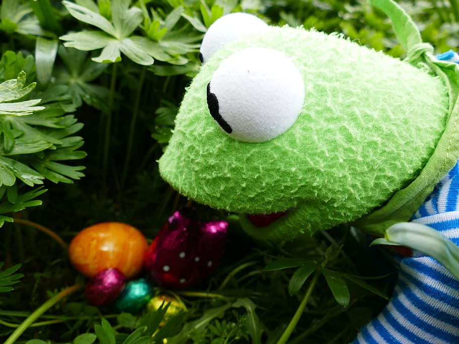 Pasqua, cerca, ous de Pasqua, niu de Pasqua, trobar, primavera, colorit, busqui ous, amagar-se, alegre, caramels, xocolata, deliciós, conill de Pasqua, figura, calories, conillets de xocolata, marca, jardí, kermit, granota, color verd, menjar, primer pla, cap gent, menjar i beguda, planta, frescor, naturalesa, alimentació saludable, full, dia, fruita, a l'aire lliure, celebració, part de la planta, pilota, vista d’angle alt, creixement, centrar-se en primer pla, herba, 4K