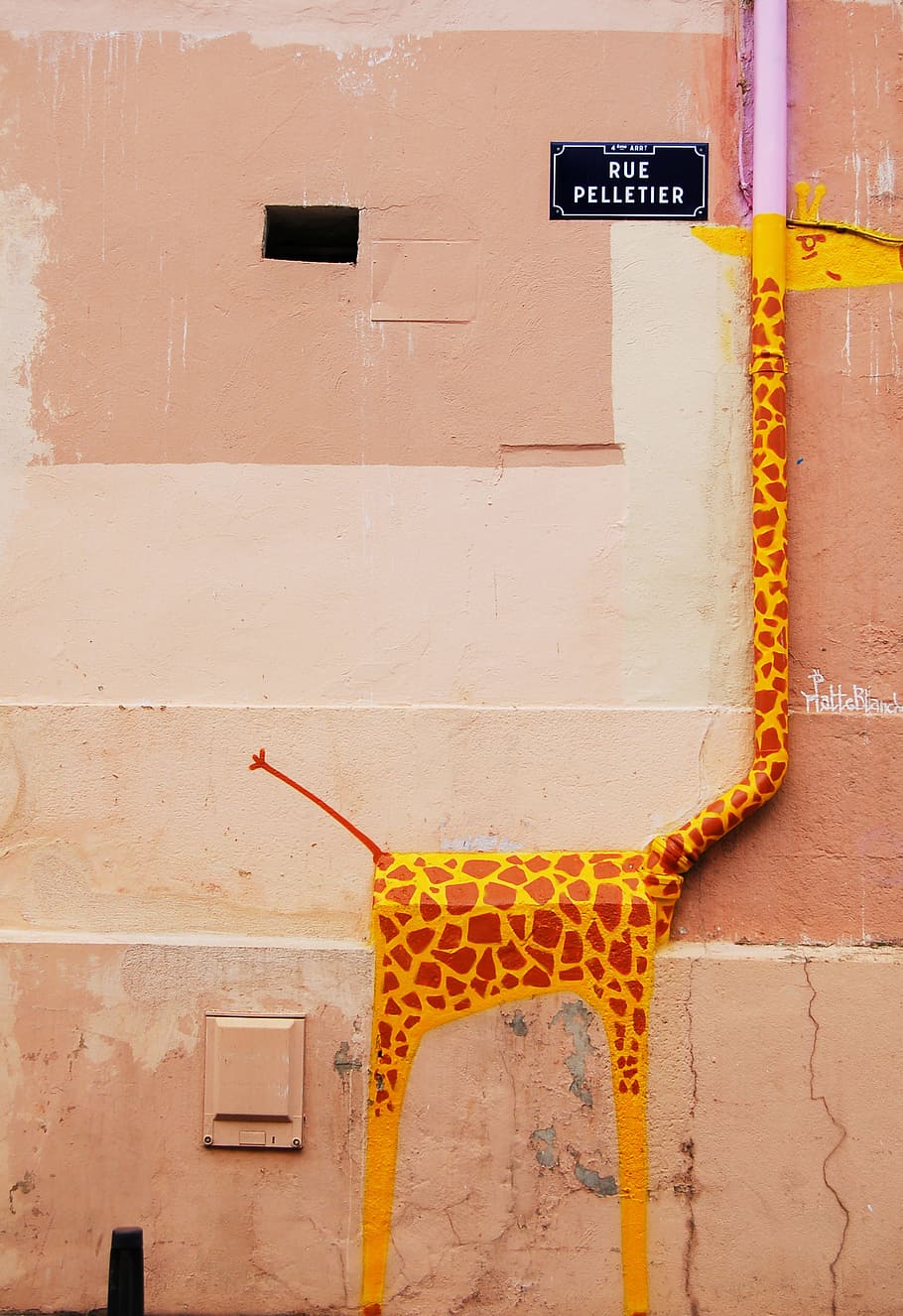 žirafa zeď umění, růžový, oranžový, plastové trubky, zeď, rue peletier, okapová roura, downpipe, malované, architektura, stavba, žlutá, nikdo, exteriér budovy, uvnitř, nástěnný prvek, sdělení, text, den, budova, podepsat, venku, západní skript, oranžová barva, jednoho zvířete, zvířat, okno, vzor, skript, 2K