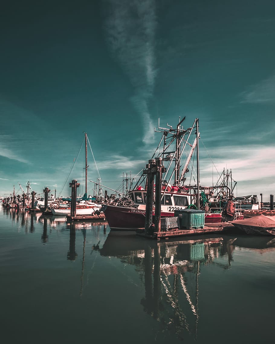 vaixells, cos, aigua, iots, acoblat, moll, vaixell, reflexió, marina, port, davant del mar, vaixell de pesca, steveston, canviant d'humor, pescar, riu, veler, transport, cel, vaixell nàutic, núvol - cel, manera de transport, arquitectura, cap gent, indústria, naturalesa, mar, amarrat, estructura construïda, maquinària, grua - maquinària de construcció, a l'aire lliure, equips de construcció, 4K