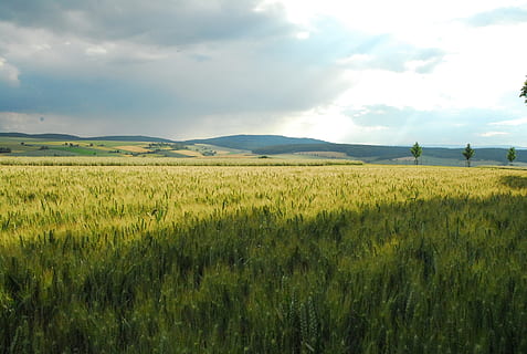 rhön, Campos, bavaria, panorama, céu, nuvens, relatado, campo, terra, meio Ambiente, crescimento, tranquilidade, nuvem - céu, beleza na natureza, cena tranquila, plantar, scenics - natureza, cena rural, natureza, agricultura, colheita, cor verde, dia, ninguém, Fazenda, ao ar livre, plantação, 2K, CC0, domínio público, royalty free