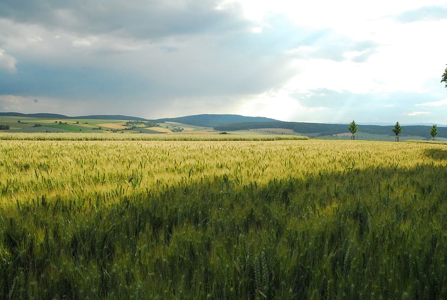 rhön, camps, baviera, paisatge, cel, núvols, panorama, reportat, camp, terra, medi ambient, creixement, tranquil·litat, núvol - cel, bellesa a la natura, escena tranquil·la, planta, escenics - natura, escena rural, naturalesa, agricultura, cultiu, color verd, dia, cap gent, granja, a l'aire lliure, plantació, 2K