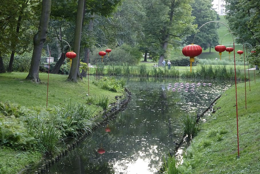 fiume, bagni, lanterne, albero, natura, crescita, bellezza nella natura, riflessione, acqua, pianta, giorno, la tranquillità, colore verde, nessuno, rosso, terra, scena tranquilla, lago, foresta, tronco, tronco d'albero, erba, all'aperto, 4K