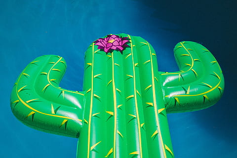 aufblasbare Kaktusboje, Grün, Kaktus-Pool, schweben, Schwimmbad, Pool schweben, schwimmt, Pool Spielzeug, Hintergrund, Kaktus Blume, Blume, Poolspaß, Detail, Spaß, Sommer-, heiß, Textur, Muster, sonnig, Kaktus, Wasserspielzeug, warm, Farbzusammensetzung, Blau, grüne Farbe, Natur, farbiger Hintergrund, Blauer Hintergrund, keine Leute, Tierdarstellung, Darstellung, Kreativität, Wasser, aufblasbar, Kunst und Handwerk, Kunst, Kultur und Unterhaltung, Studioaufnahme, Himmel, Nahansicht, draußen, mehrfarbig, Tag, 5K, CC0, gemeinfrei, lizenzfrei