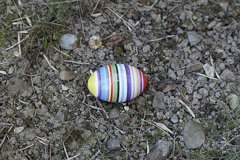 egg, easter egg, ceramic, colorful, striped, lost, easter bunny, easter, day, no people, high angle view, nature, land, field, outdoors, close-up, animal shell, shell, focus on foreground, food, solid, animal wildlife, sport, still life, rock, 5K, CC0, public domain, royalty free