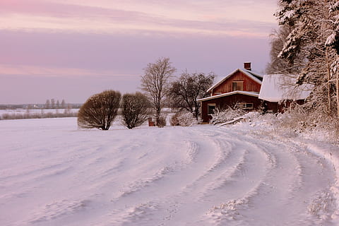 marron, maison, recouvert, neige, hiver, froid - température, la nature, arbre, gel, en plein air, saison, paysage, forêt, la glace, scène rurale, ciel, température froide, structure construite, architecture, extérieur du bâtiment, bâtiment, beauté dans la nature, couleur blanche, plante, paysages - nature, couvrant, congelé, nuage - ciel, terre, personne, du froid, cabine, 4K, CC0, domaine public, libre de droits