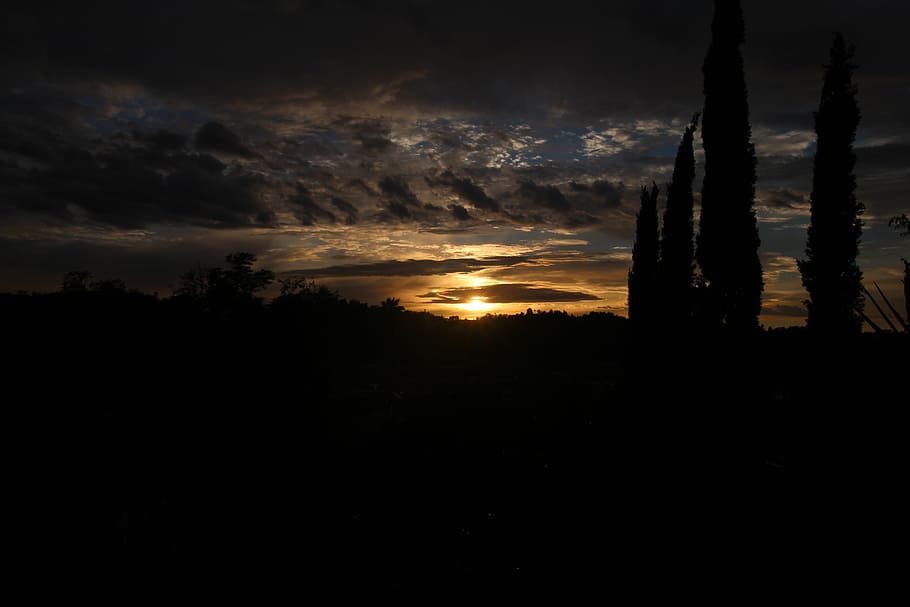 posta de sol, cel, núvols, horitzó, groc, alba, vista, llum, taronja, camp, natural, llum solar, a l'aire lliure, sortida del sol, paisatge, blau, tarda, vermell, silueta, vespre, sol, prat, cielo, nube, atardecer, escena, horizonte, escènic, núvol - cel, escena tranquil·la, bellesa a la natura, escenics - natura, tranquil·litat, naturalesa, cap gent, arbre, medi ambient, idíl·lic, escena no urbana, planta, còpia espai, terra, cel dramàtic, 5K
