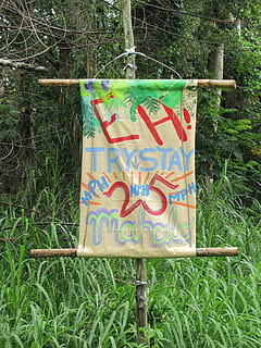 Zeichen, Botschaft, Geschwindigkeit, Design, Sozial, Information, Idee, verrückt, Hawaii, hawaiisch, Pflanze, Land, Gras, Feld, Natur, keine Leute, Tag, Text, Kommunikation, Baum, draußen, westliche Schrift, grüne Farbe, Wachstum, Holz - Material, Wald, Nahansicht, Hinweisschild, Blumenmuster, 2K, CC0, gemeinfrei, lizenzfrei
