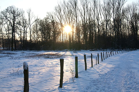 vinterlige, sne, kold, kold temperatur, vinter, træ, skønhed i naturen, plante, scenics - natur, barriere, hegn, ro, grænse, natur, sol, rolig scene, ingen mennesker, himmel, træ - materiale, Mark, hvid farve, stolpe, træ post, udendørs, linseflare, 2K, CC0, offentligt domæne, royaltyfrie