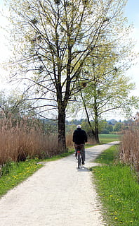 Radweg, Radfahrer, Weg, Baum, ästhetisch, Blätter, Frühling, Pflanze, Fahrrad, eine Person, in voller Länge, der Weg nach vorn, echte Menschen, Transport, Rückansicht, Richtung, Lebensstile, Reiten, Tag, Natur, Freizeitbeschäftigung, Landfahrzeug, Straße, Wachstum, draußen, 5K, CC0, gemeinfrei, lizenzfrei