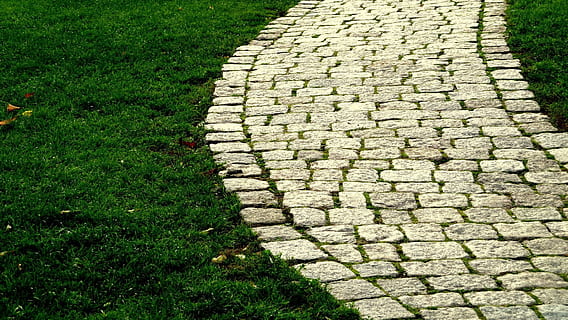 grau, Beton, Ziegel Weg, Straße, Gras, Kopfsteinpflaster, Pfad, Ziel, gehen, Boden, Stein, gepflastert, Pflaster, Weg, Grün, Feld, friedlich, wandern, Dämmerung, Reise, Pflanze, grüne Farbe, Tag, High Angle View, Natur, keine Leute, Fußweg, Muster, Wachstum, draußen, Land, stein material, gestalten, Design, Rasen, solide, Pflasterstein, Gartenweg, 1080P, CC0, gemeinfrei, lizenzfrei