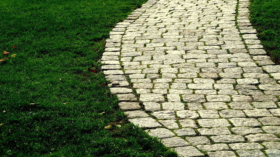 gris, concret, camí de maons, carretera, herba, llambordes, Camí, destinació, caminar, sòl, pedra, pavimentat, paviment, manera, verd, camp, pacífica, vagar, vespre, alba, viatge, planta, color verd, dia, vista d’angle alt, naturalesa, cap gent, sendera, patró, creixement, a l'aire lliure, terra, material de pedra, forma, disseny, gespa, sòlid, camí de jardí, 1080P