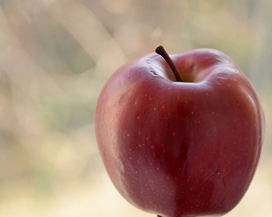 măr, fruct, a închide, vară, roșu, mere, natură moartă, mancare si bautura, alimente, mâncat sănătos, mere - fructe, prospeţime, bunăstare, să se concentreze asupra primelor elemente, nici o persoana, plantă, natură, zi, un singur obiect, în aer liber, plante stem, vegetal, creştere, 2K