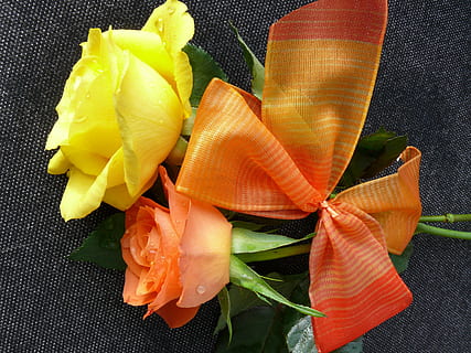 ciclo continuo, fiorire, fioritura, Rose, rosa, fiori, giallo, natura, fiore, avvicinamento, nessuno, mangiare sano, cibo e bevande, freschezza, frutti di mare, in casa, cibo, pianta, natura morta, bellezza nella natura, pianta fiorita, foglia, vista dall'alto, parte vegetale, colore arancione, benessere, direttamente sopra, infiorescenza, testa di fiore, 2K, CC0, dominio pubblico, privo di copyright