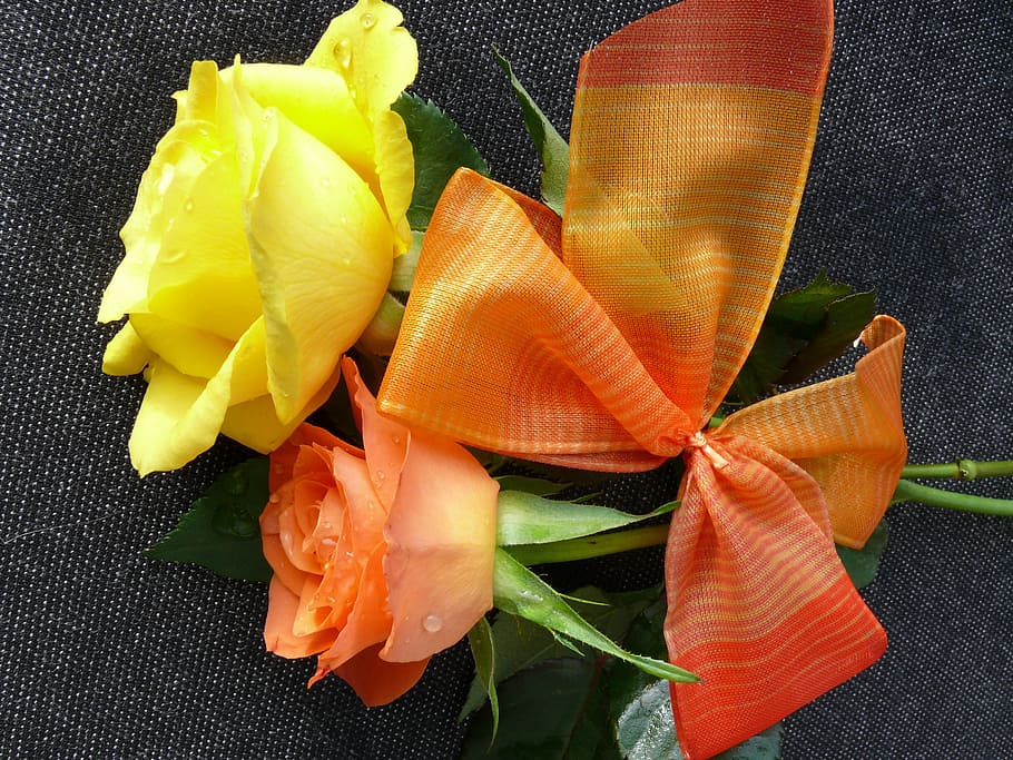 ciclo continuo, fiorire, fioritura, Rose, rosa, fiori, giallo, natura, fiore, avvicinamento, nessuno, mangiare sano, cibo e bevande, freschezza, frutti di mare, in casa, cibo, pianta, natura morta, bellezza nella natura, pianta fiorita, foglia, vista dall'alto, parte vegetale, colore arancione, benessere, direttamente sopra, infiorescenza, testa di fiore, 2K