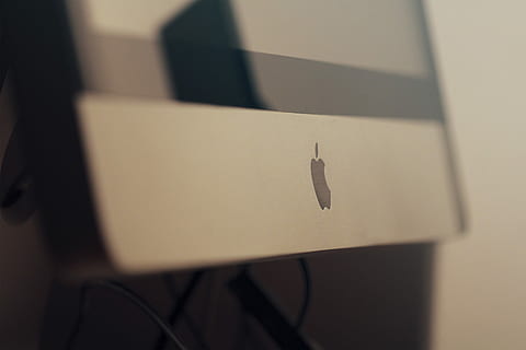 logo Apple, jabłko, imac, komputer, tech, ekran, żadnych ludzi, zwierzę, tematy zwierzęce, cień, zbliżenie, selektywne skupienie, wewnątrz, zwierzęca przyroda, jedno zwierzę, funkcja budowy ścian, bezkręgowy, owad, zwierzęta na wolności, dzień, Natura, światło słoneczne, porozumiewanie się, zagadka, znak, 4K, CC0, domena publiczna, darmowe zdjęcia